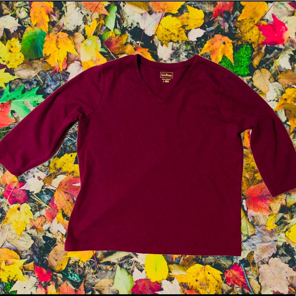L.L. Bean Long Sleeve | Size L REG
